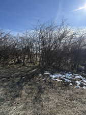 View of undeveloped land