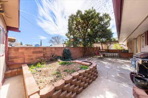 Fenced backyard with a patio and grilling area