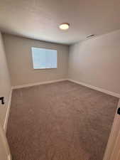 Spare room featuring carpet floors and a textured ceiling