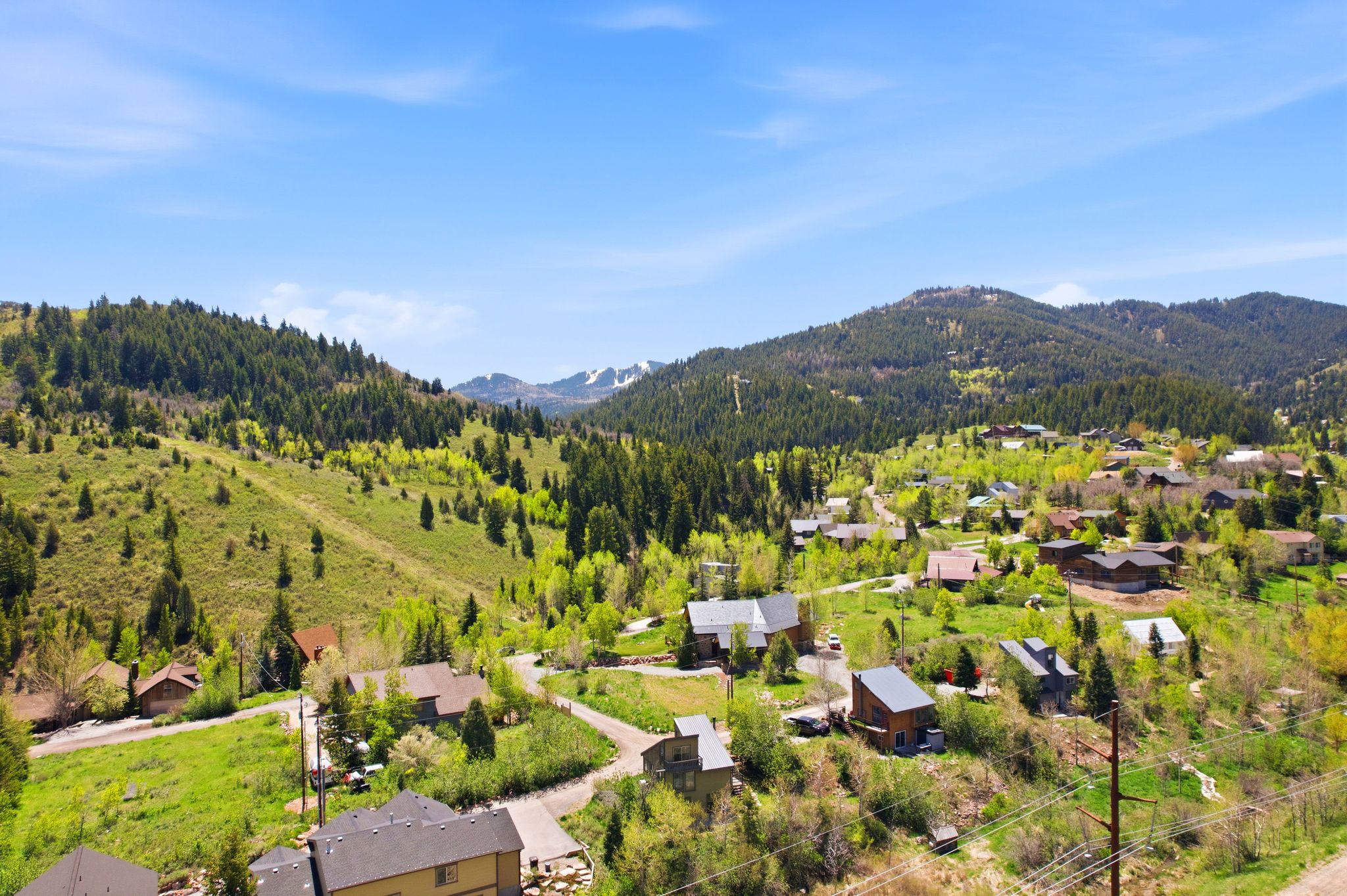 Mountainous terrain featuring diverse tree coverage, including evergreen and deciduous species, with scattered residential properties