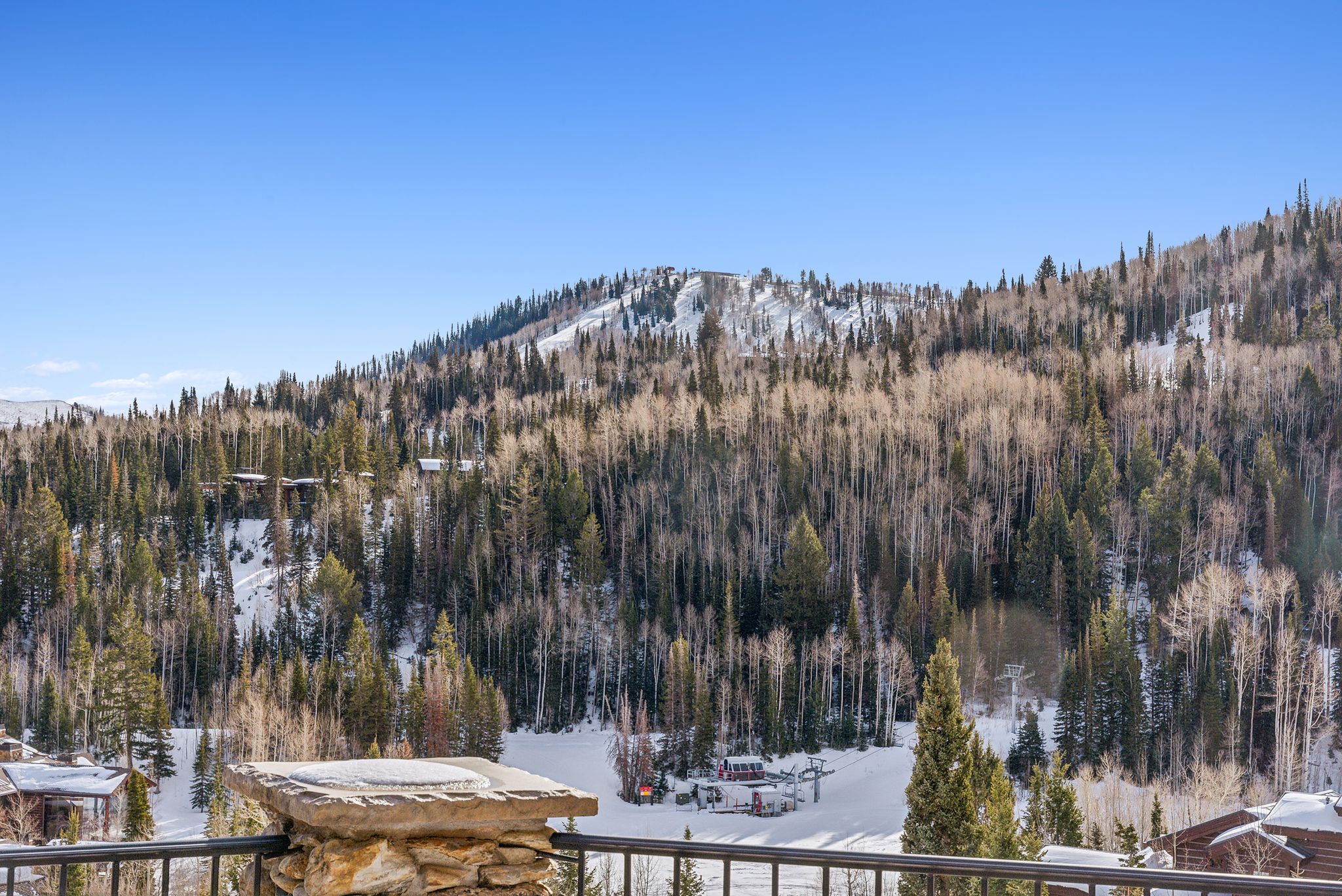 Mountain view featuring a heavily wooded area