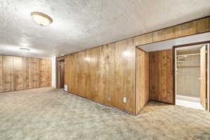 Finished basement featuring light colored carpet, wood walls, and a textured ceiling
