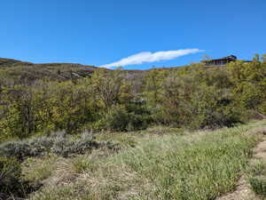 View of mountain background