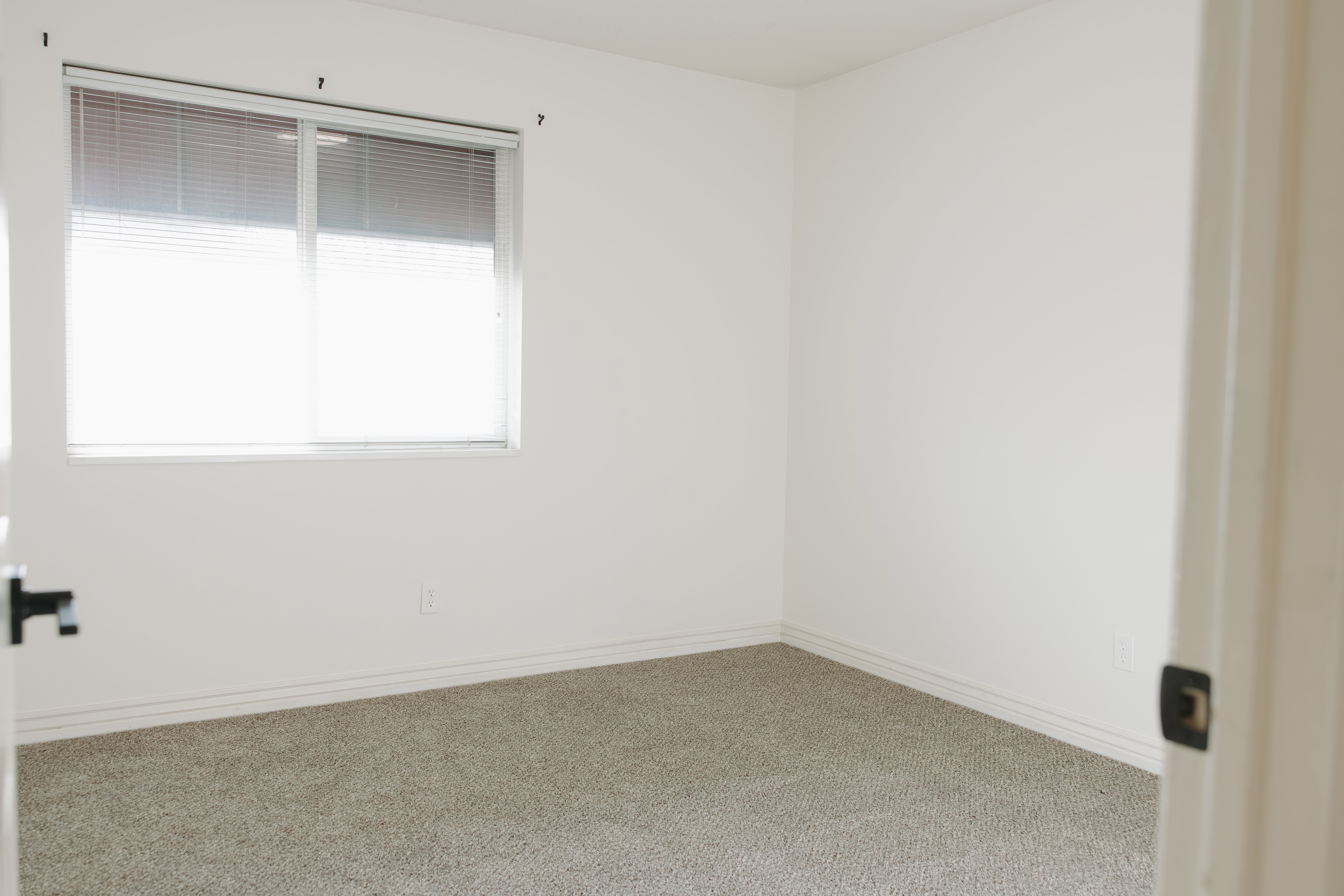 Unfurnished room featuring carpet and baseboards