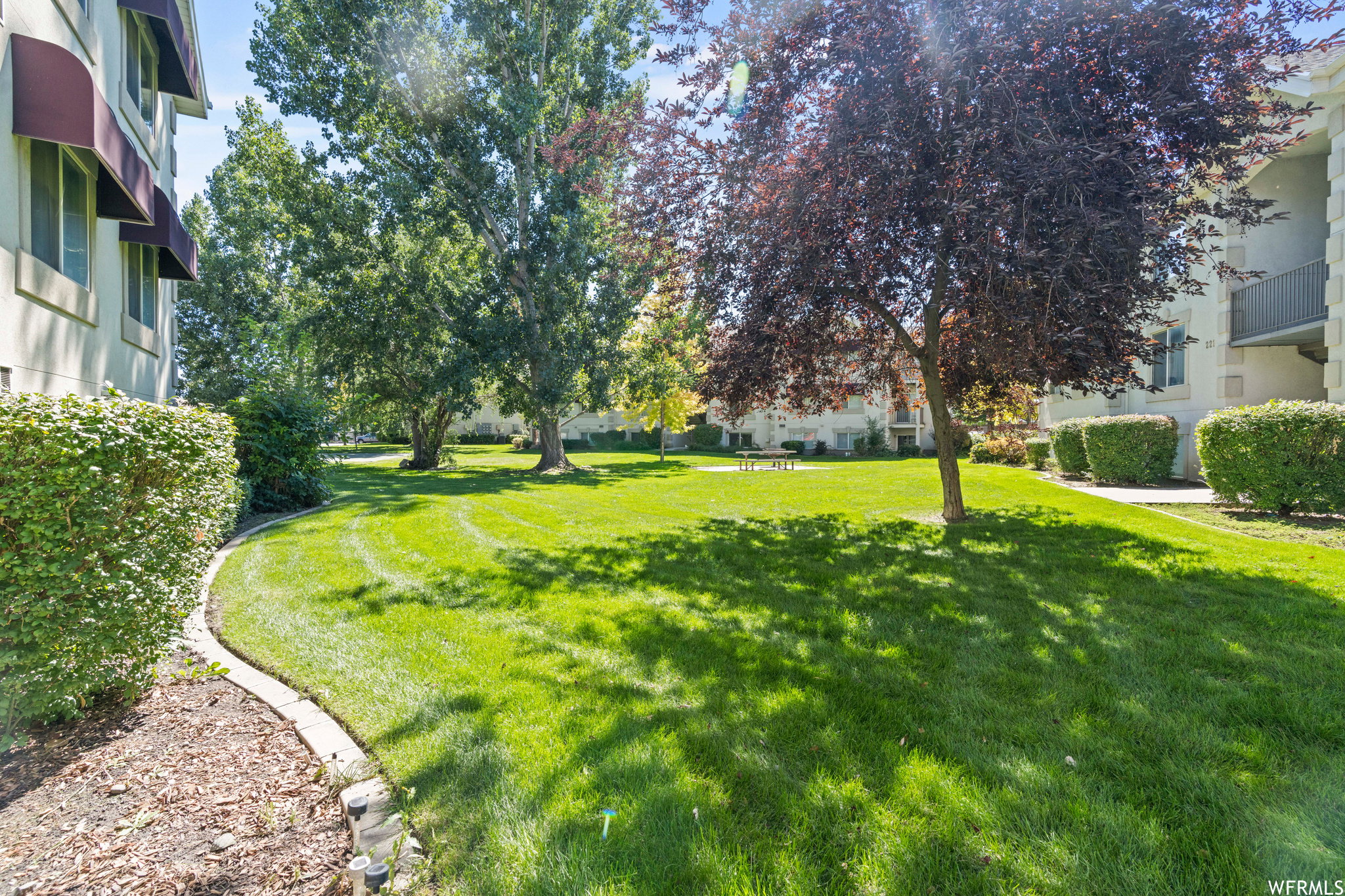 View of green lawn