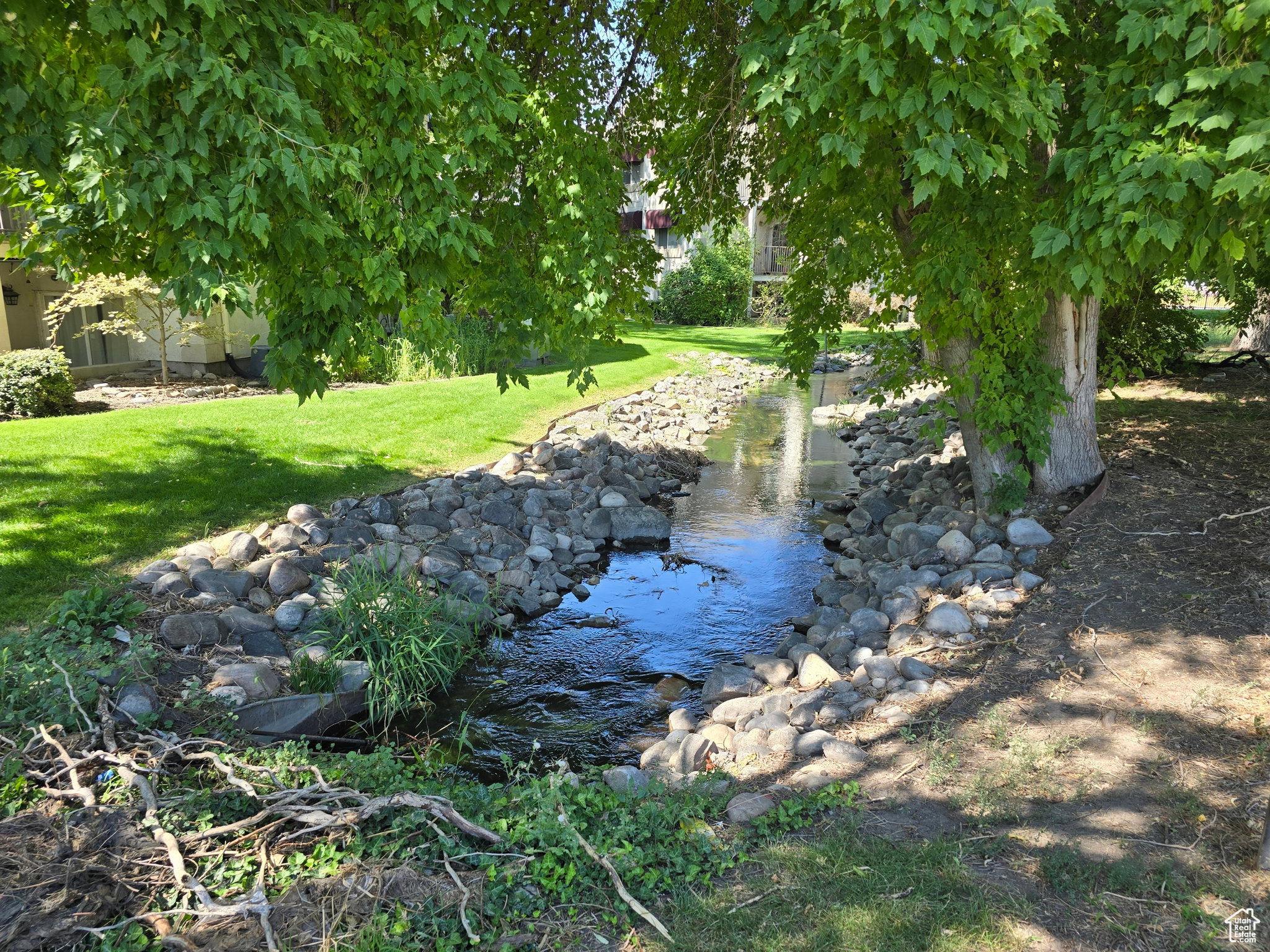 Water view
