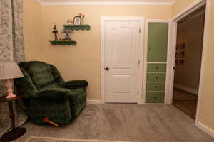Living area featuring carpet flooring and crown molding
