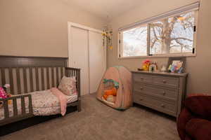 Carpeted bedroom featuring a closet and a nursery area