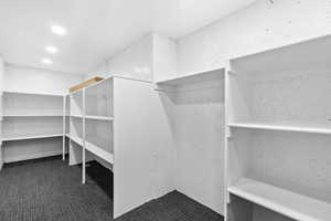 Walk in closet with dark carpet