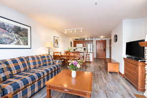Living room featuring track lighting and wood finished floors