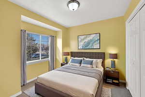 Bedroom with a closet and carpet