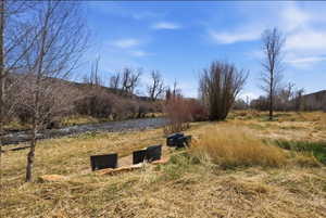 Riverside parcel featuring a natural landscape and mature trees