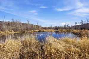 Natural water feature surrounded by dry native grasses and deciduous trees