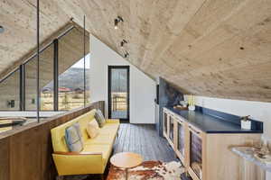 Vaulted wood-paneled ceiling with track lighting