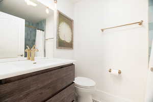 Full bathroom with vanity and a shower with curtain