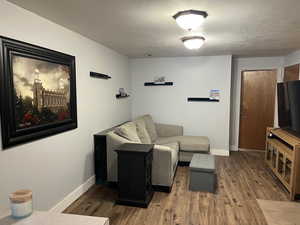 Basement Living area featuring wood finished floors and a textured ceiling
