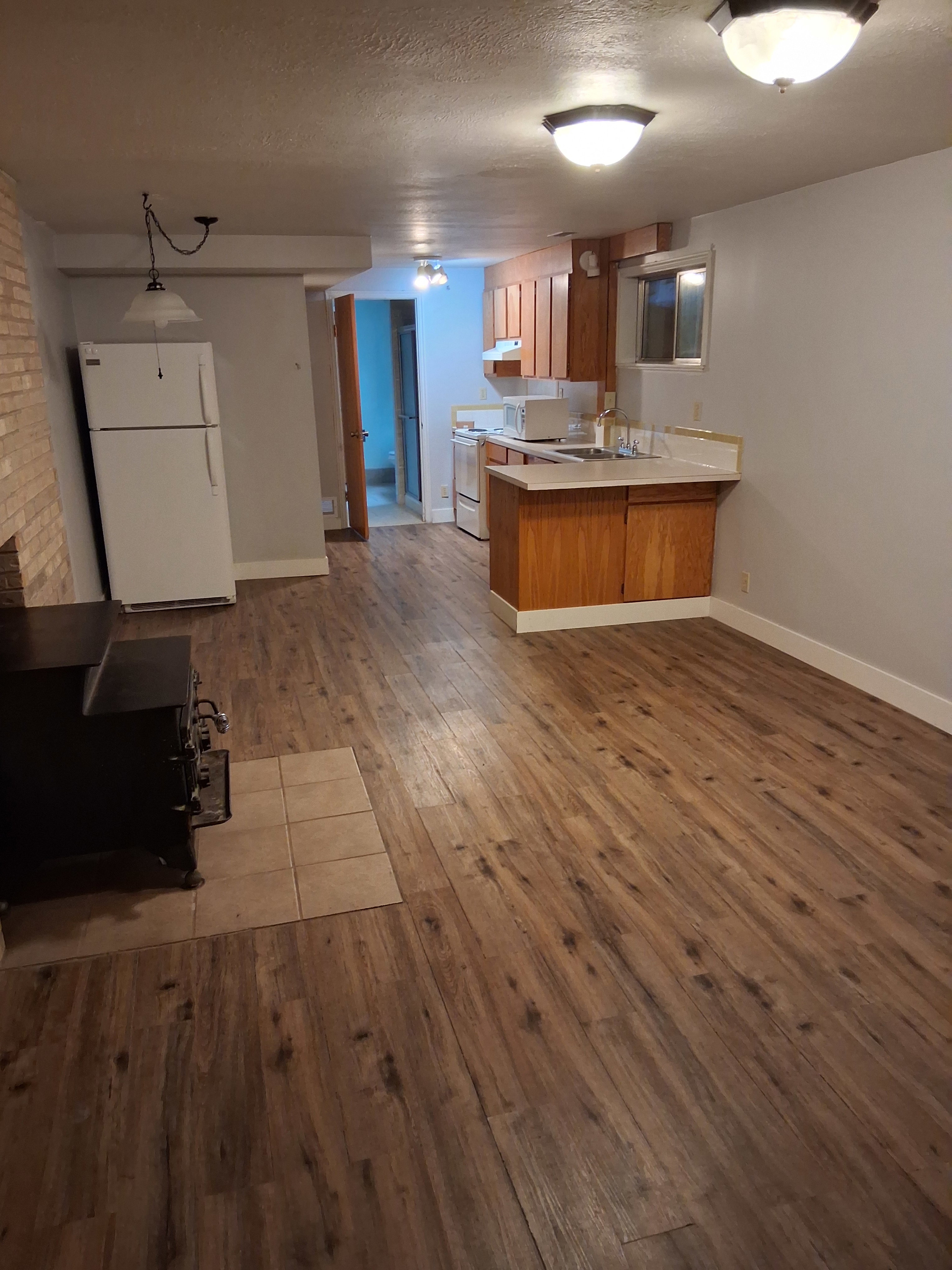 Basement Kitchen and Family Room