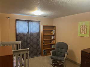 Basement bedroom 2