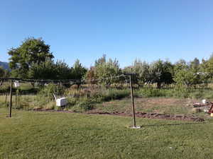 Fruit Orchard