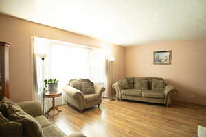 Living area with wood finished floors and a textured ceiling