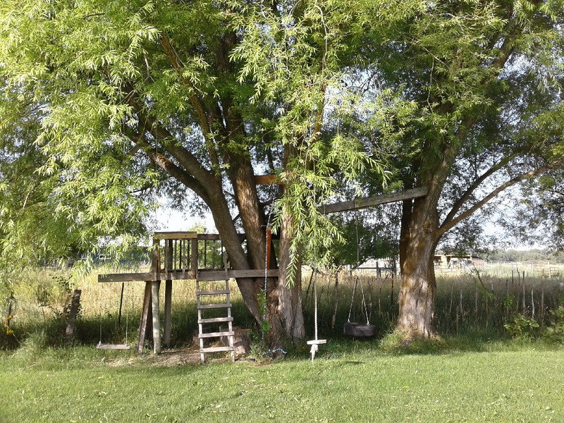 Tree House