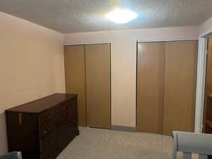 Basement bedroom 2