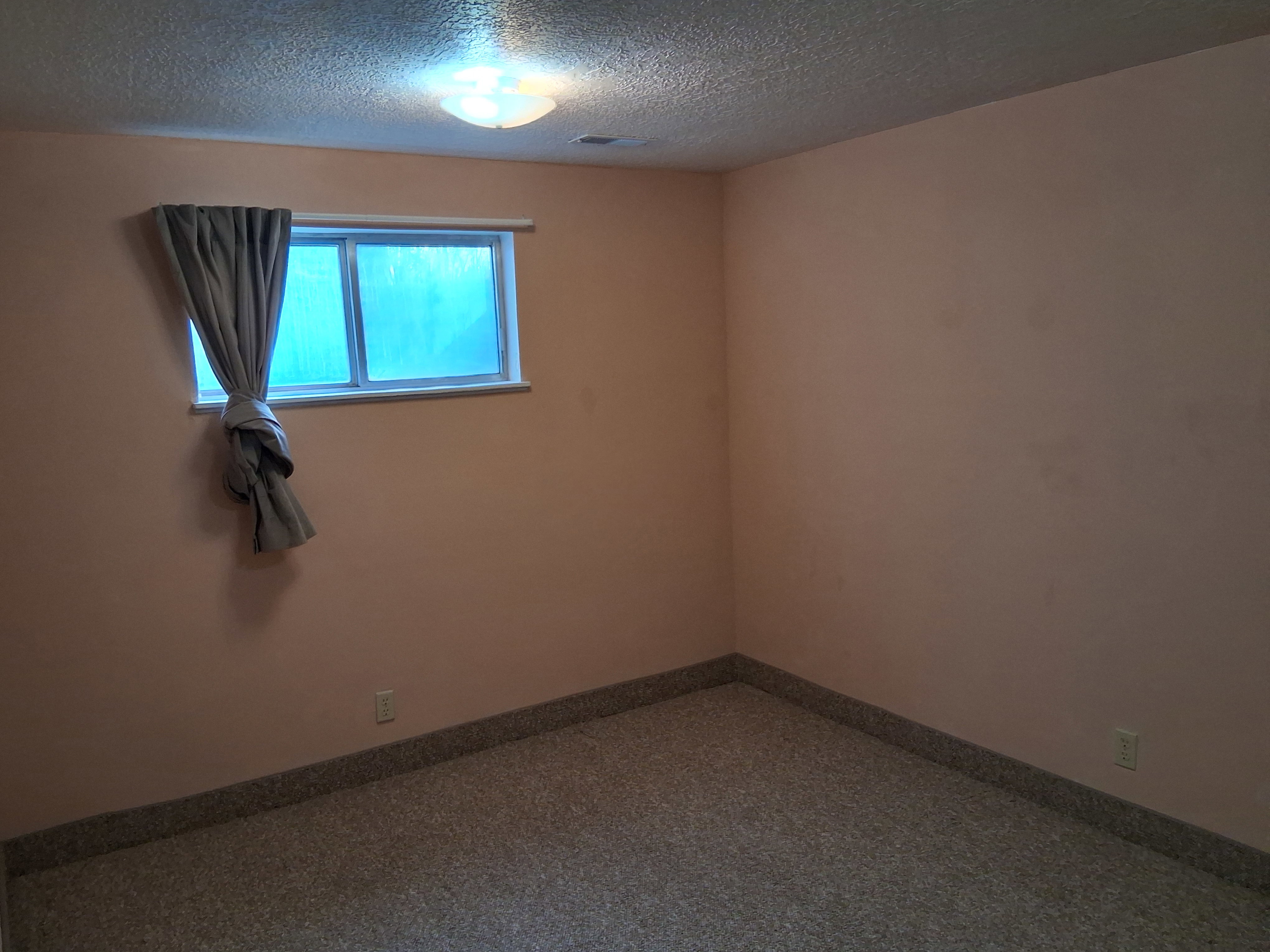 Basement Bedroom 2