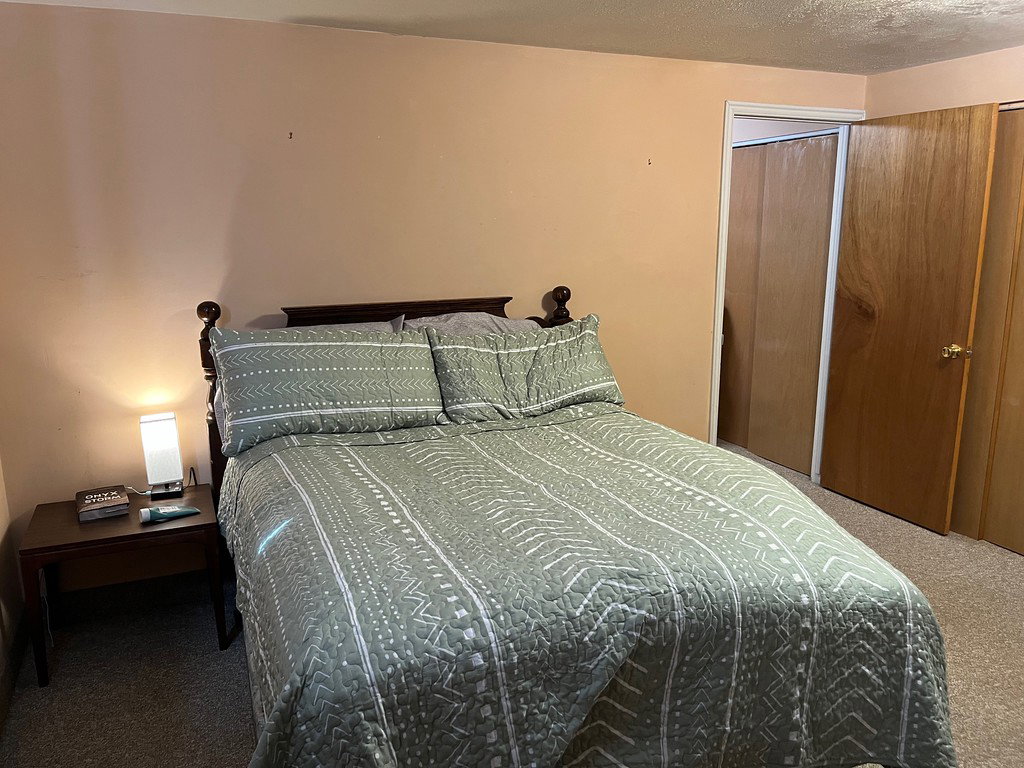Basement Bedroom with carpet floors, a closet, and a textured ceiling