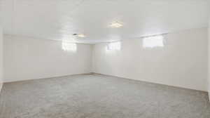 Basement featuring carpet