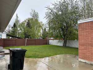 Expansive backyard featuring a green lawn, concrete patio, mature tree, and privacy fencing