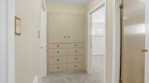 Walk in closet with light colored carpet