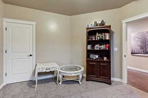 Sitting room with baseboards and light carpet