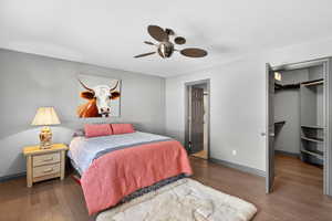 Bedroom with wood finished floors, a walk in closet, and ceiling fan