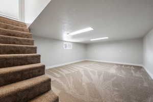 Basement perfect for playroom or theatre
