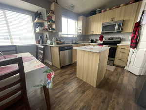 Kitchen featuring light wood finish cabinets, stainless steel appliances, and light countertops