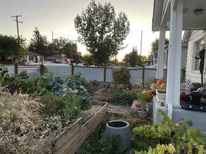 Yard at dusk with a garden