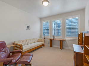 Carpeted 2nd bedroom with ample light.