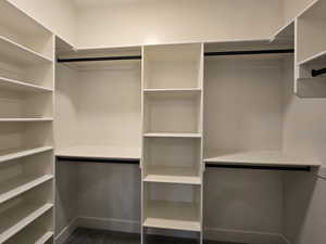 View of walk in closet