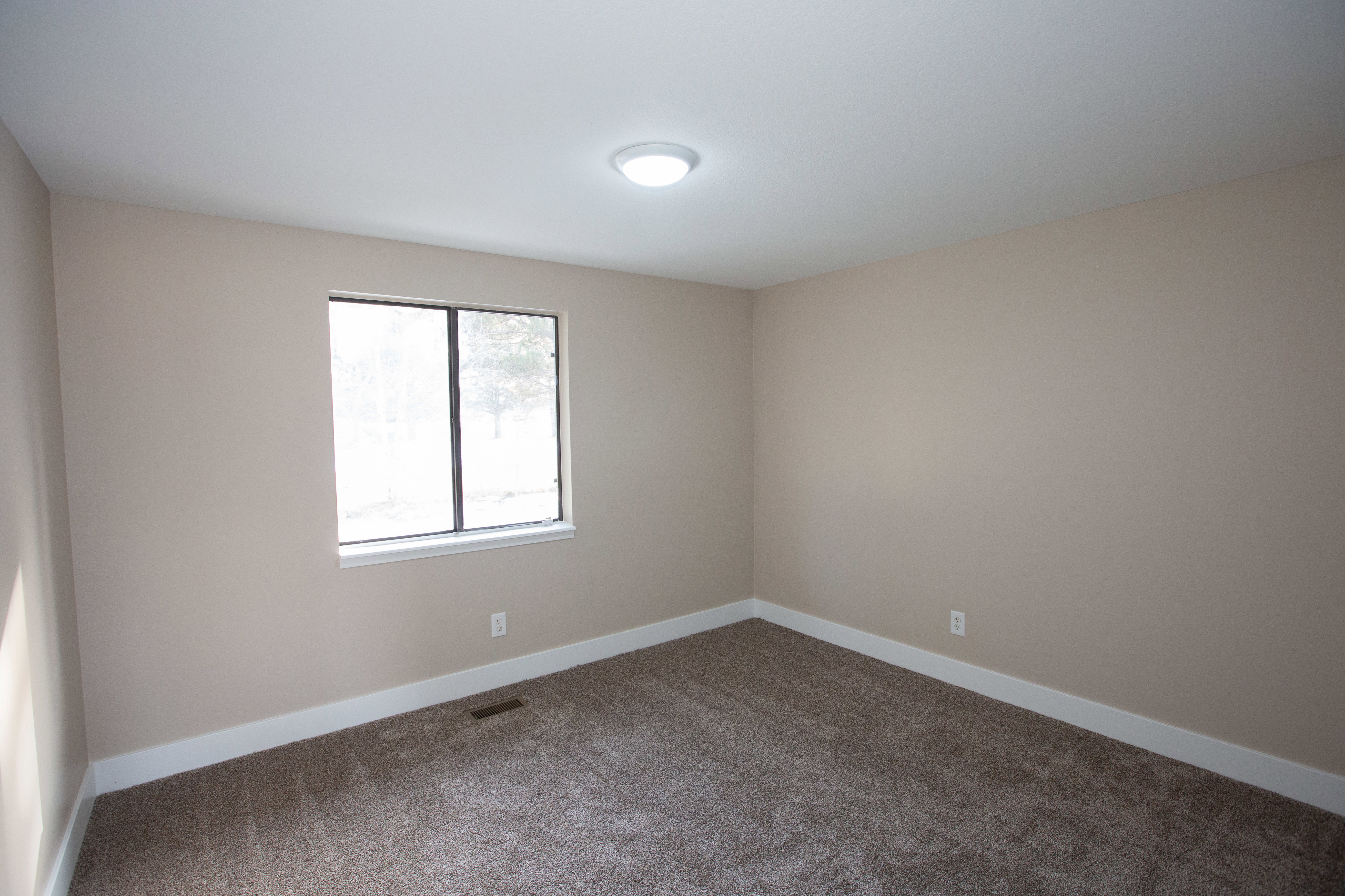 Main level bedroom featuring carpet floors and baseboards