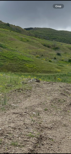 View of nature featuring rural landscape