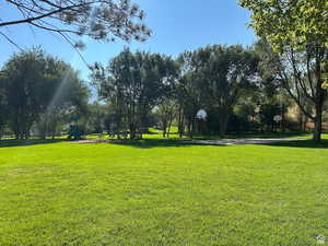 View of property's community