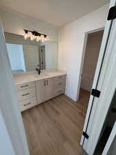 Bathroom with light wood-style flooring and vanity