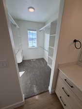 Walk in closet with dark colored carpet and dark wood-style floors