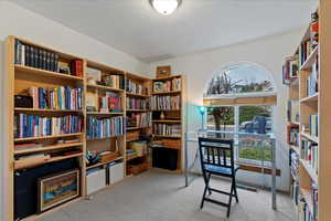 Office area featuring light colored carpet, wall of books, and a textured ceiling