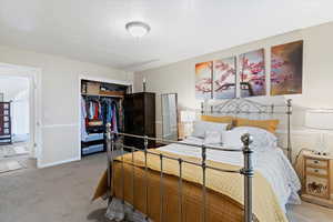 Bedroom with a closet and carpet
