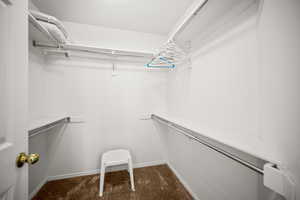 Walk in closet with dark colored carpet