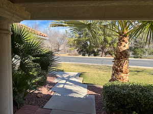 View of grassy yard