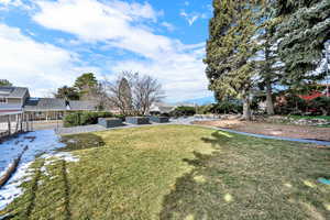 View of green lawn and raised garden beds