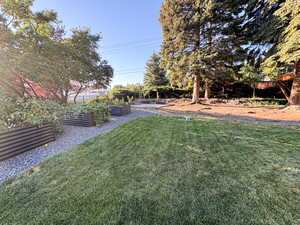 Garden Image from last summer