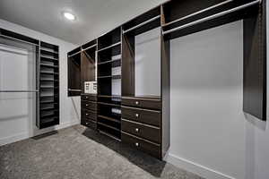 Walk in closet with light carpet